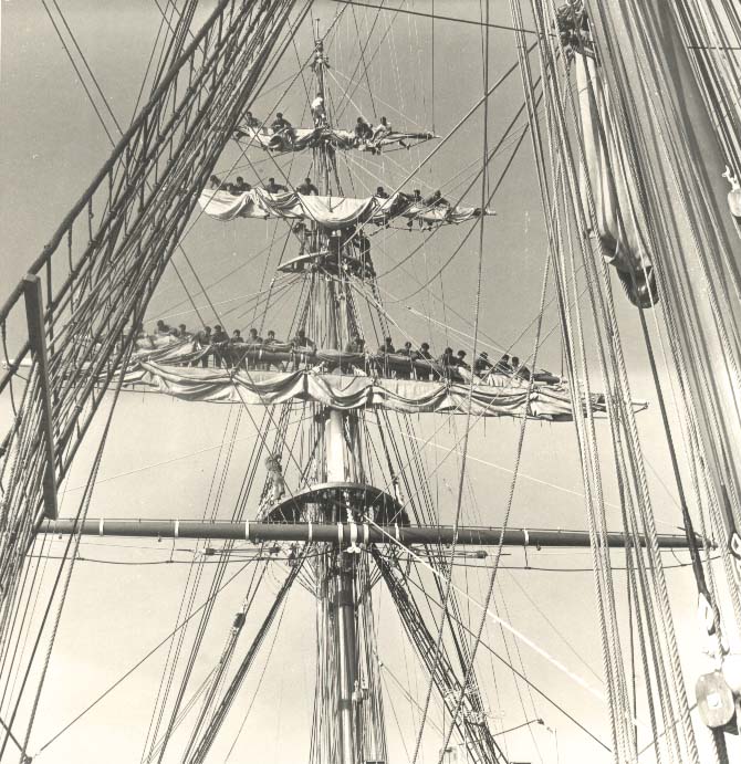 02coperta alberata.jpg